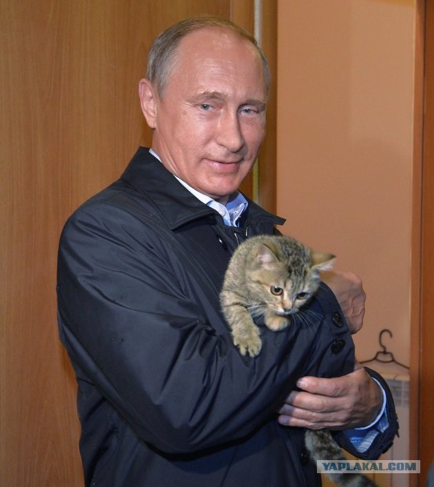 Однако таки да