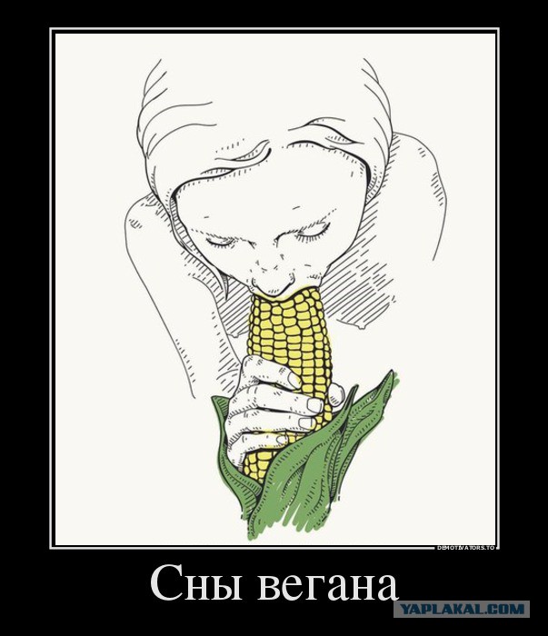 Мясоед показал, чем угощают на вегетарианском барбекю