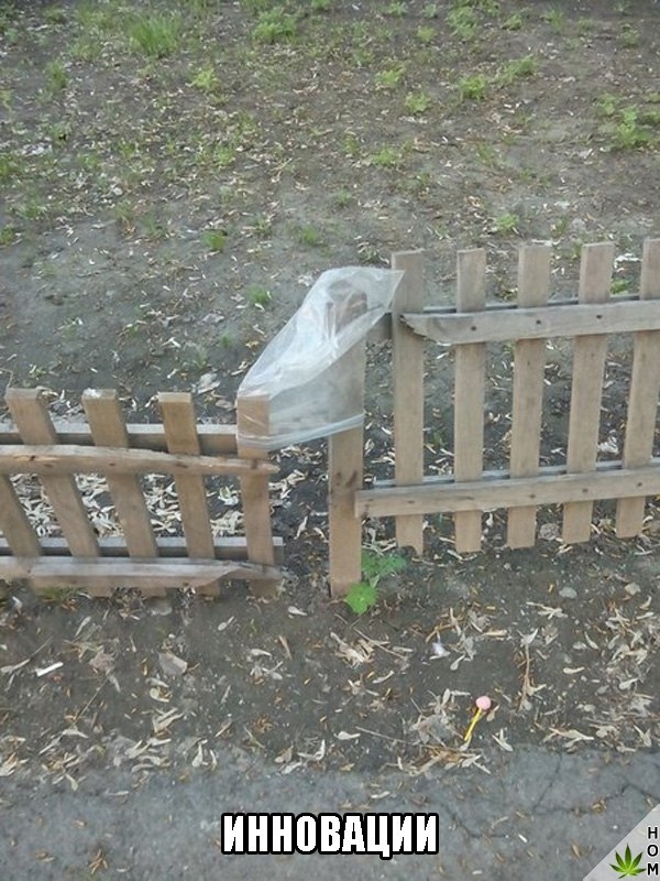 Прикольные картинки абавсём