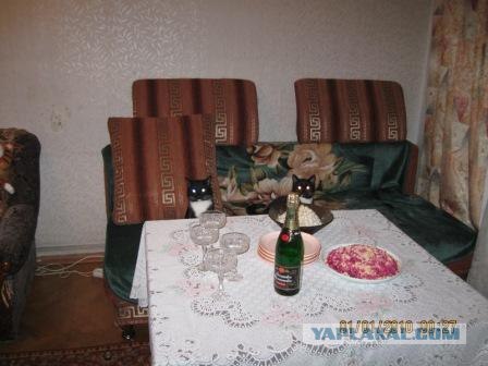 Выходные у кота