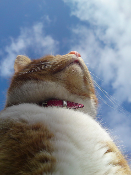 КОТовторник 13.04.2010г.