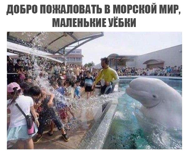 Специфический юмор
