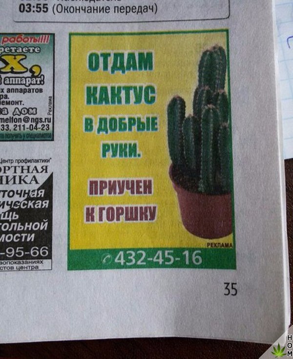 Прикольные надписи и объявления