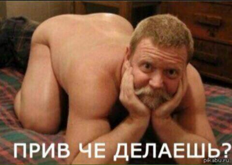 Скотсети и прочие интернеты 05.04.19