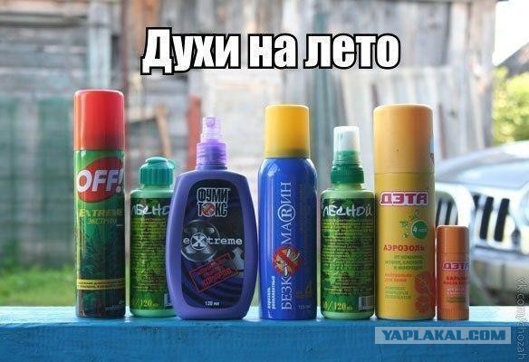 Поедем на дачу?