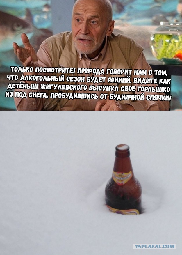 Дроздов ушел из «В мире животных»