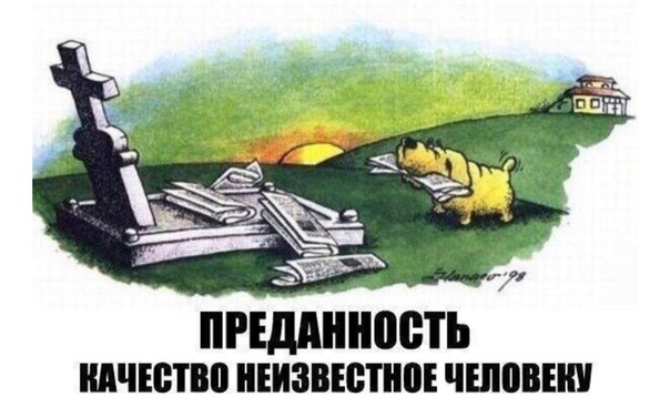 А вы слышите голоса?