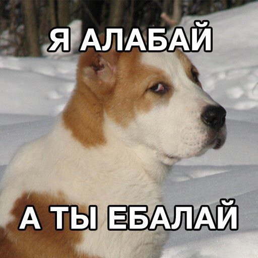 Миша защитил имущество Никиты от пьяного Сергея