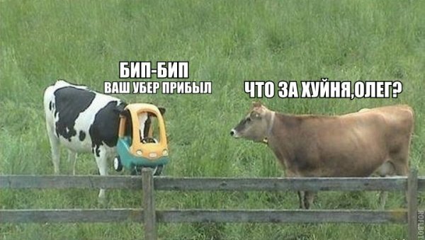 Бредзона 19.02.2020