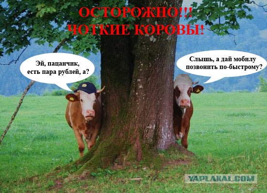 Как ты думаешь, измена скора отпустит?