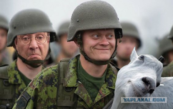 Привет из Эстонии