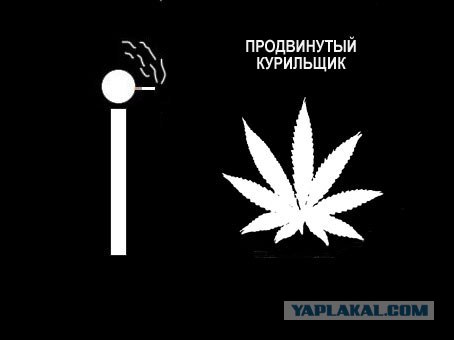 Фотожаба: Пассивный курильщик