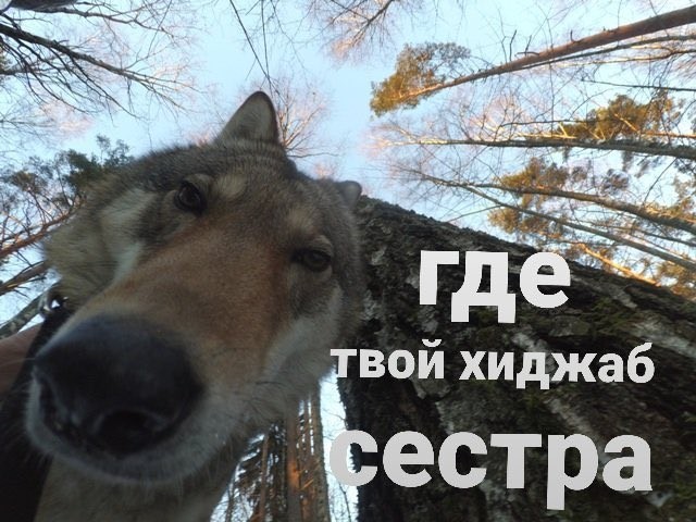 "Девушка, у вас там... а впрочем ладно"