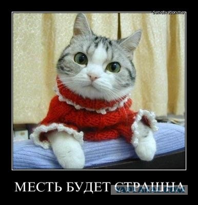 Кот устроил погром