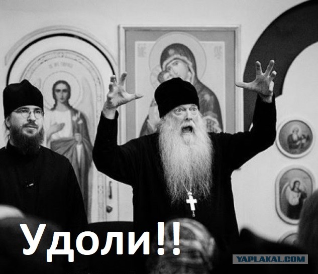 Кто живёт на Вамфиме?