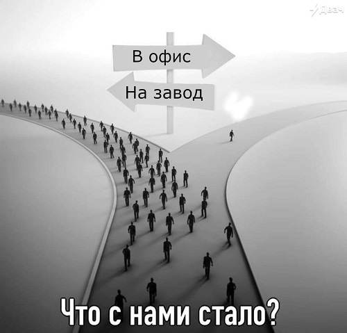 Весёлый полтишок 14.07