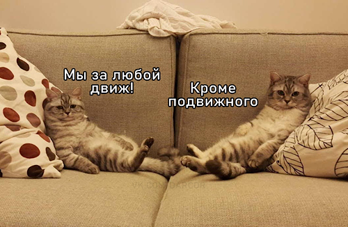 Подробное толкование мема "про рыбов и котиков" для чайников. Часть I