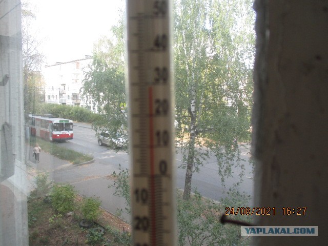 Уральское лето в самом разгаре