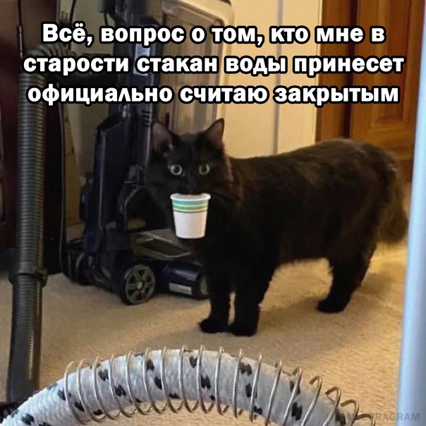 Весёлый полтишок 21.09