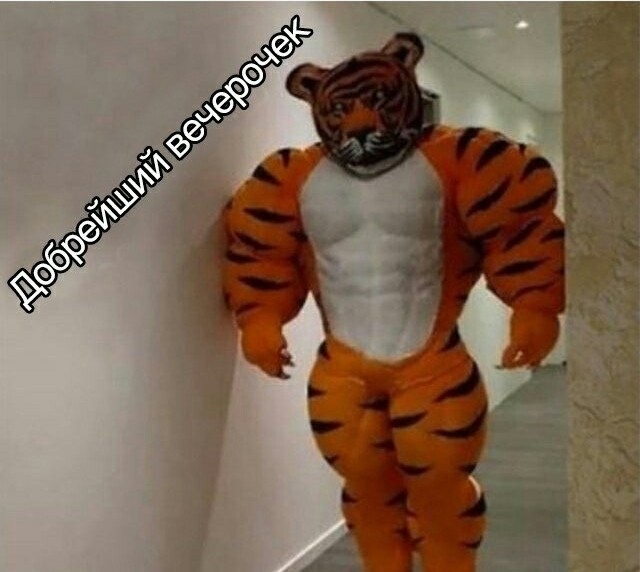 Мать моя, что это за хрень?