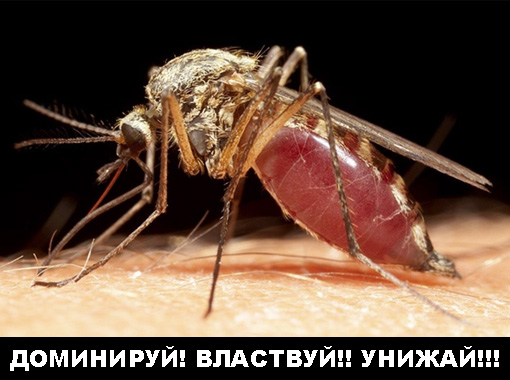 25 странных фактов