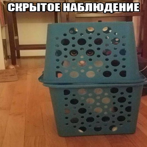Немного картинок для настроения - 131