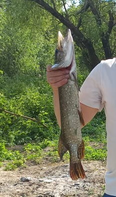 А пошло оно все...