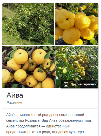 Шесть мифов о холостяках и их жизни