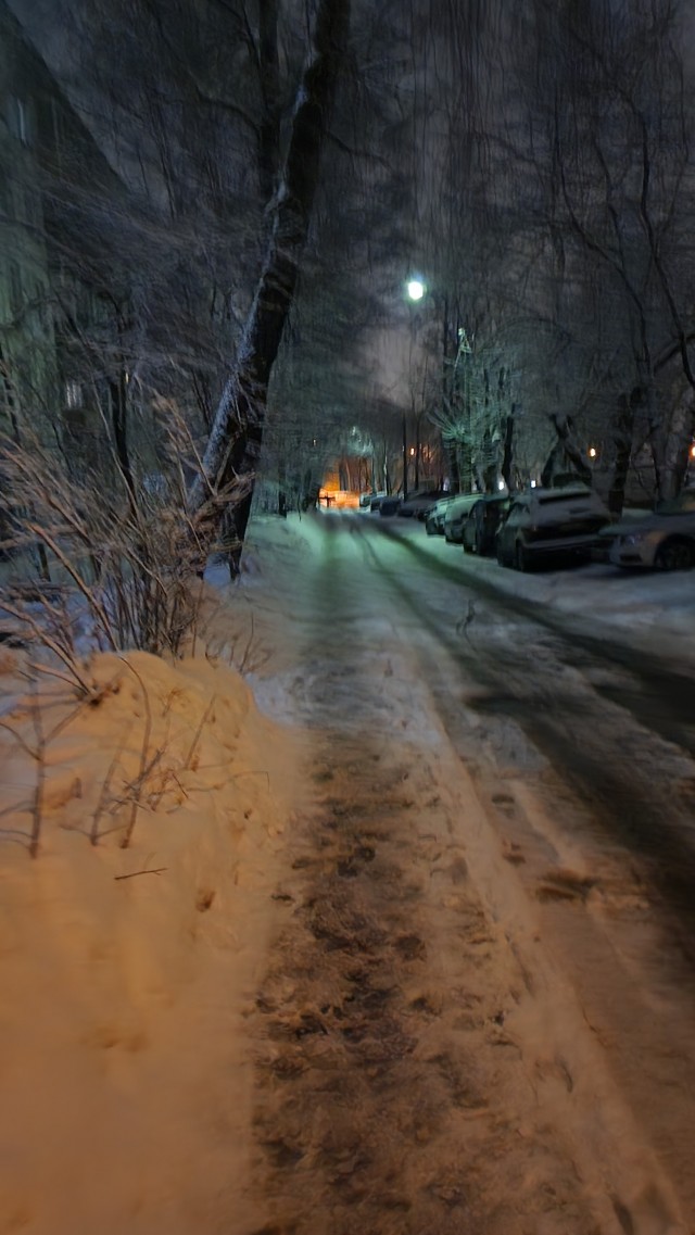 В снежном дворе
