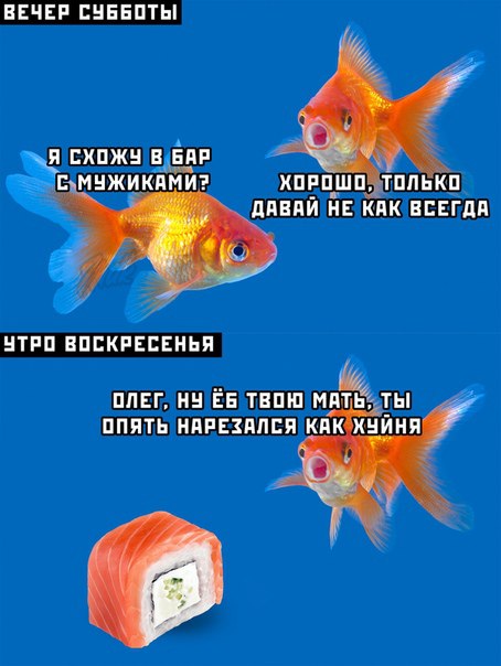 Дристоль два ноль