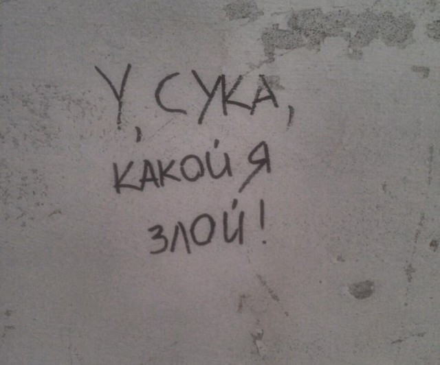 Дурдом (Бояны)