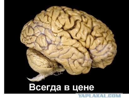 Стоимость памяти в разные годы.