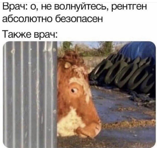 LOLтиночки