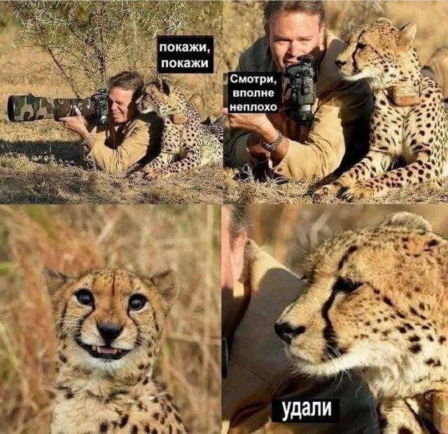 Картинки разные с надписями и без