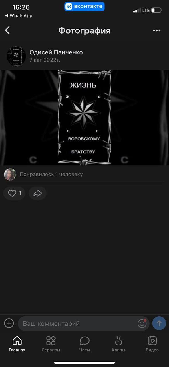 «Они ищут себе жертву, они спорят кого нокаутируют»