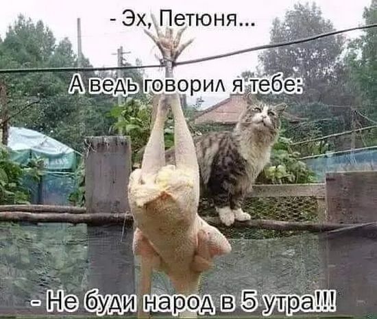 Завалялось тут случайно немного забавных картинок