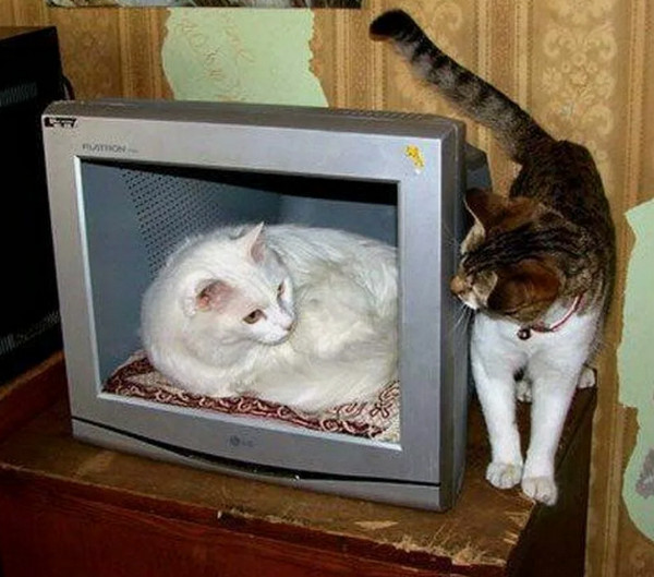3D телеки