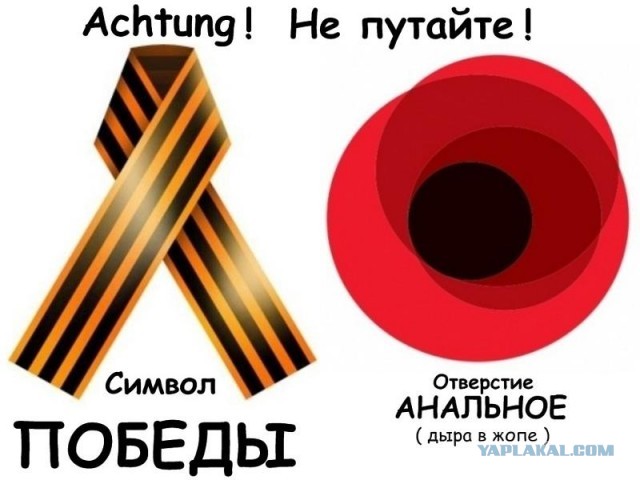 Немецкий Бундестаг исключит Россию из числа участников мероприятий, посвященных  80-й годовщине окончания Второй мировой войны