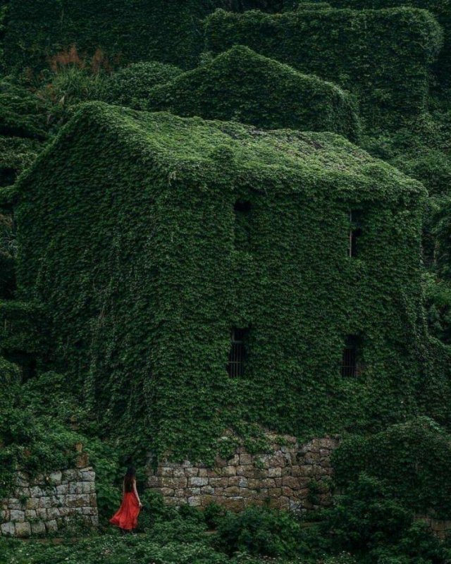 Веселые картинки в понедельник (07.07)