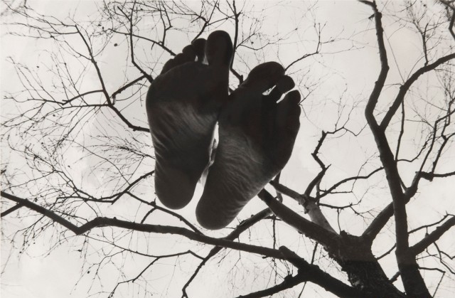 Дегрономикон депрессивный