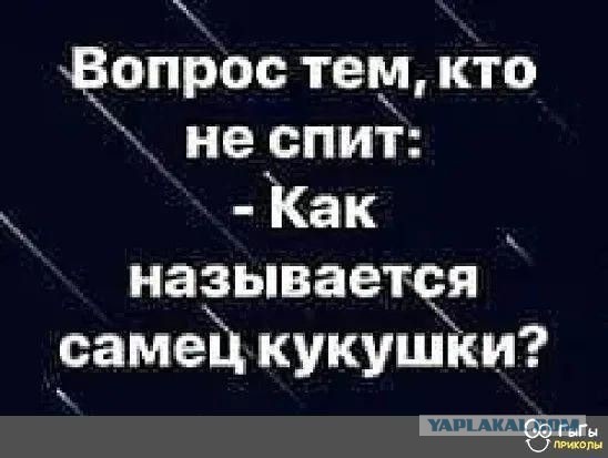 Куча мала 12