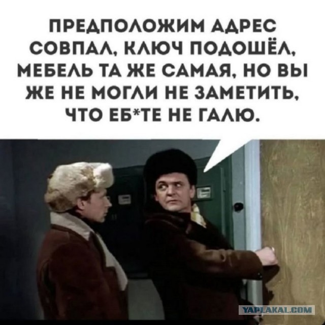 Так себе картинки 31.12.25