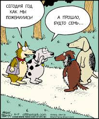 С годовщиной свадьбы