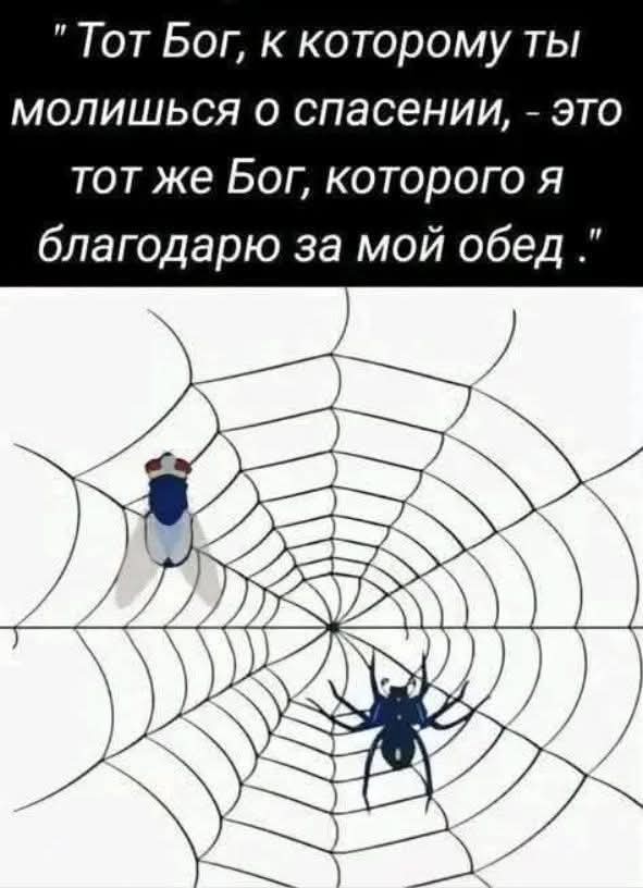 Картиночки, баянчики 31 января