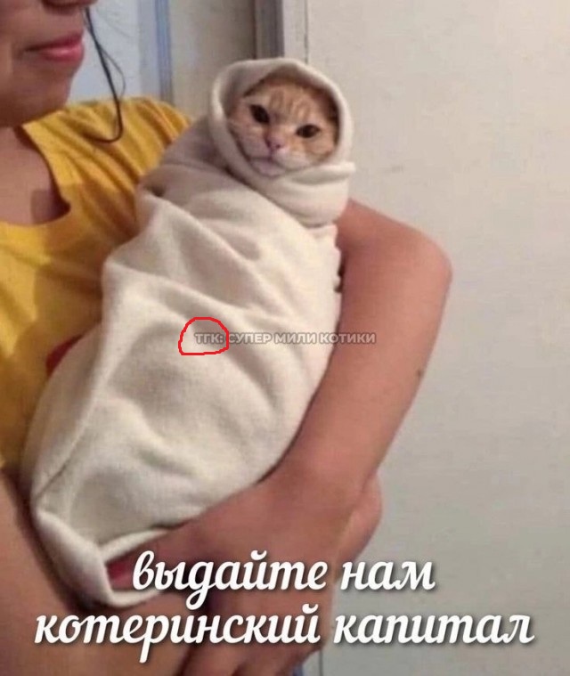 Среды картинки