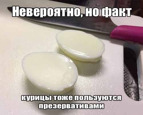 Веселое настроение в картинках (14.02.2025)