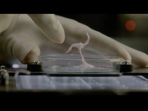 Межзвёздная комета 3I/ATLAS устроила водяной фейерверк после пролёта Солнца