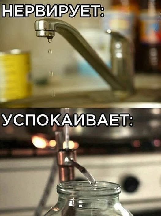 Мемы 30 штук к понедельнику