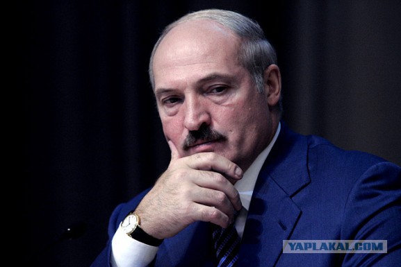 Янукович в реанимации