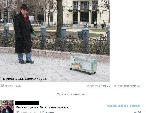 Смешные комментарии из социальных сетей